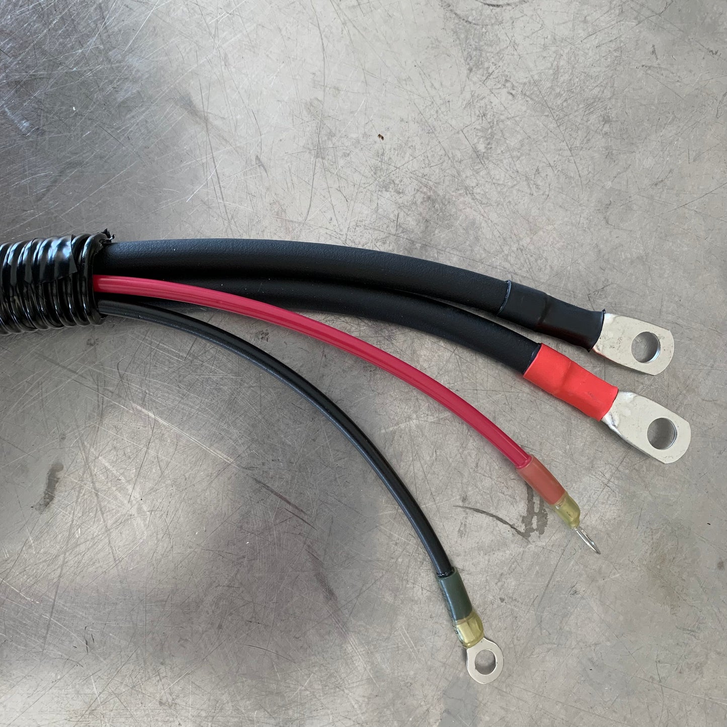 EZGO TXT48 Motor Harness